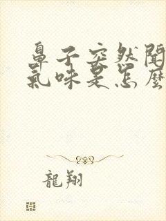 鼻子突然闻不到气味是怎么回事