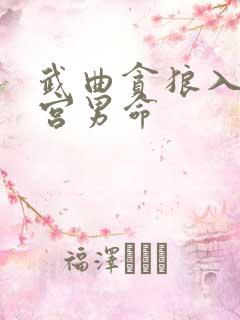 武曲贪狼入夫妻宫男命