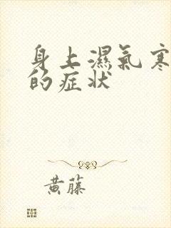 身上湿气寒气重的症状