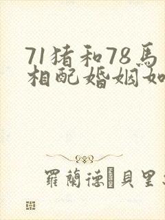 71猪和78马相配婚姻如何