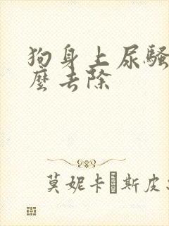 狗身上尿骚味怎么去除