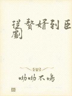 从赘婿到臣宠短剧