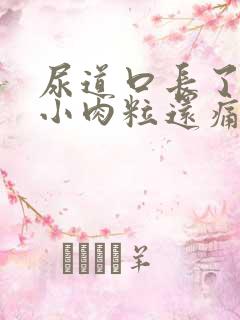 尿道口长了几个小肉粒还痛