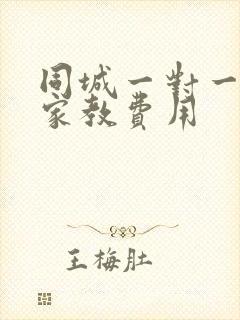 同城一对一上门家教费用