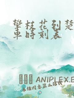 攀枝花到楚雄客车时刻表