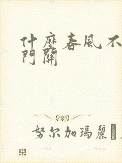 什么春风不度玉门关