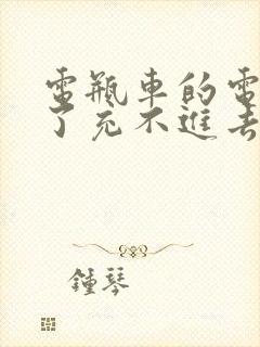 电瓶车的电用完了充不进去电怎么回事