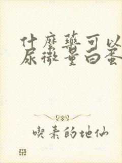 什么药可以降低尿微量白蛋白