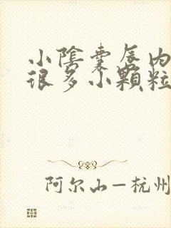 小阴囊唇内侧有很多小颗粒很痒