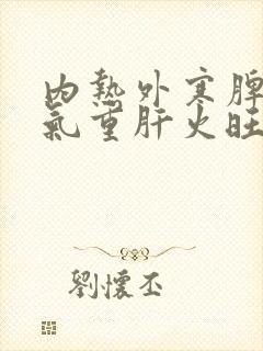 内热外寒脾虚湿气重肝火旺