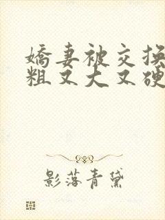 娇妻被交换黑人粗又大又硬连载中