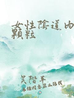 女性阴道内张小颗粒