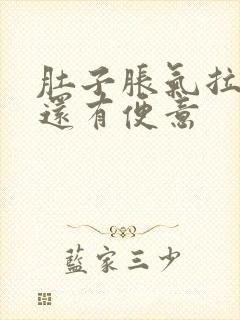 肚子胀气拉完屎还有便意