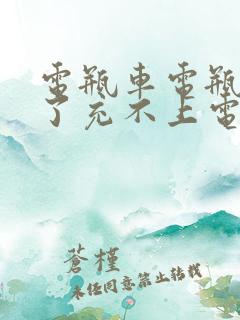 电瓶车电瓶放久了充不上电怎么办