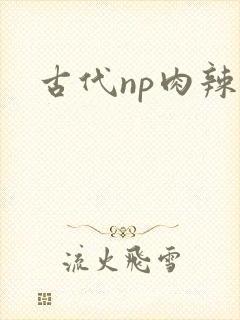 古代np肉辣文