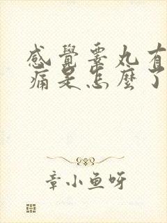 感觉睾丸有点微痛是怎么了