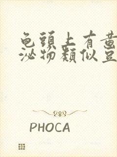 龟头上有黄色分泌物类似豆腐渣是什么原因