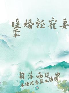 暖婚轻宠妻第二季