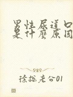 男性尿道口流血是什么原因引起的