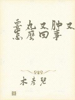 睾丸又肿又痛是怎么回事