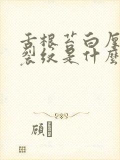 舌根苔白厚腻有裂纹是什么原因