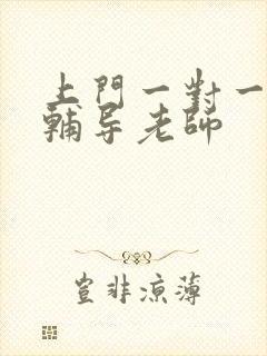 上门一对一家教辅导老师