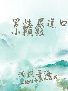 男性尿道口里长小颗粒