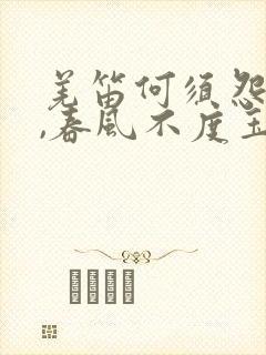 羌笛何须怨杨柳,春风不度玉门关是什么意思