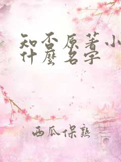 知否原著小说叫什么名字