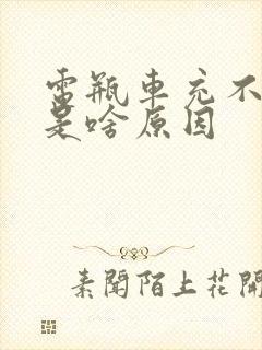 电瓶车充不进电是啥原因