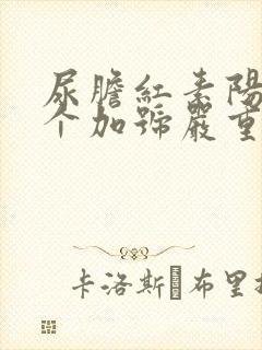 尿胆红素阳性1个加号严重吗