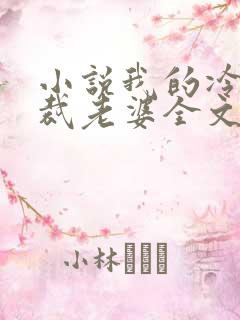 小说我的冷艳总裁老婆全文阅读