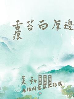 舌苔白厚边缘齿痕