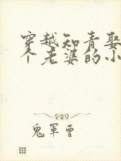 穿越知青娶了三个老婆的小说