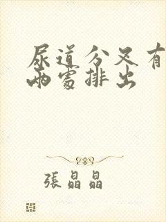 尿道分叉有尿从两处排出