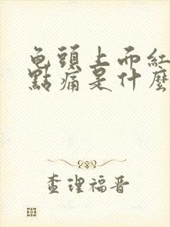 龟头上面红肿有点痛是什么原因