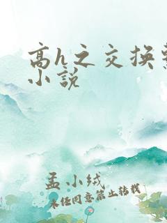 高h之交换系列小说