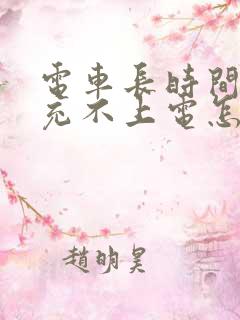 电车长时间不骑充不上电怎么办电