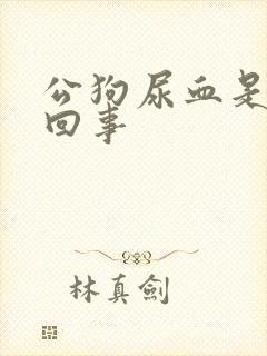 公狗尿血是怎么回事