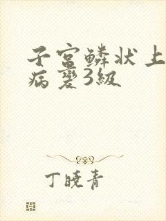 子宫鳞状上皮内病变3级