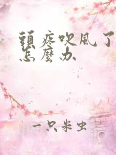 头疼吹风了很疼怎么办