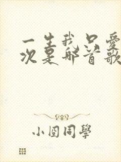 一生我只爱你一次是哪首歌的歌词