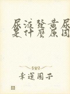 尿液发黄尿量少是什么原因