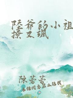 陆爷的小祖宗又撩又飒