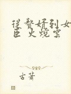 从赘婿到女帝宠臣 火烧云