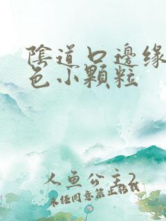 阴道口边缘有白色小颗粒