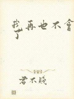 我再也不会爱你了