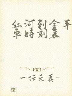 红河到金平县班车时刻表