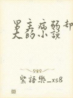 男主病弱却很强大的小说