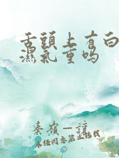 舌头上有白色是湿气重吗